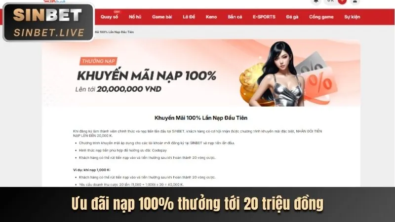 Tổng quan cá cược trực tiếp